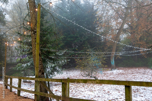fence in the park