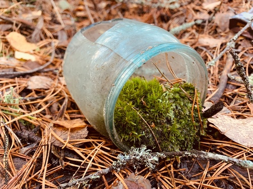 glass jar in a forest