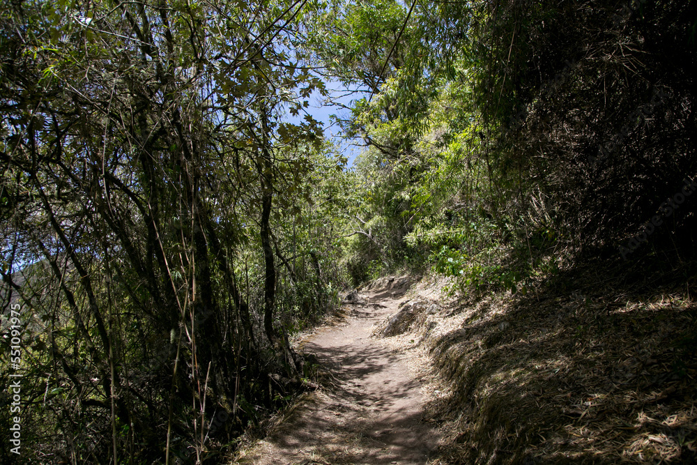 Hike through the Apurímac canyon to the ruins of Choquequirao, an Inca archaeological site in Peru, similar in structure and architecture to Machu Picchu.