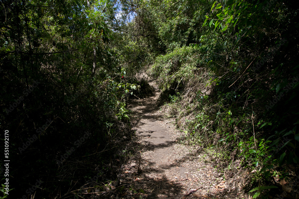 Hike through the Apurímac canyon to the ruins of Choquequirao, an Inca archaeological site in Peru, similar in structure and architecture to Machu Picchu.