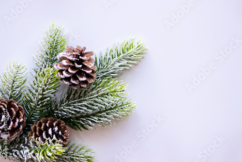 Pine branch with cones on a white background. Christmas card. Christmas and New Year concept.