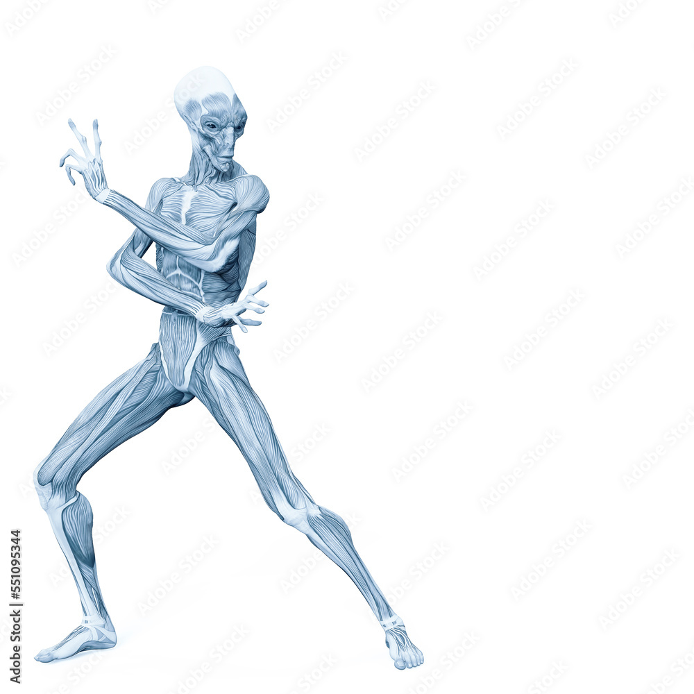 alien muscle maps on white background alien muscle maps on white background