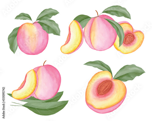 Watercolor peaches clipart, beautiful watercolor peach illustration
