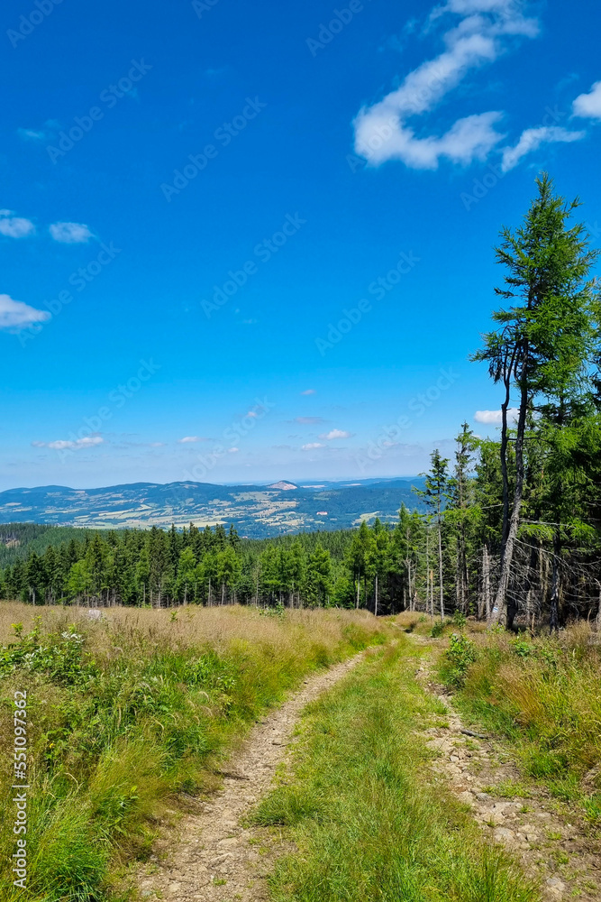 Obraz premium Beautiful green mountains on a sunny summer day. Hiking.