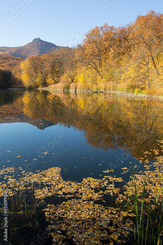 Gold autumn. Beautiful reflection in the water of a forest lake in the mountains