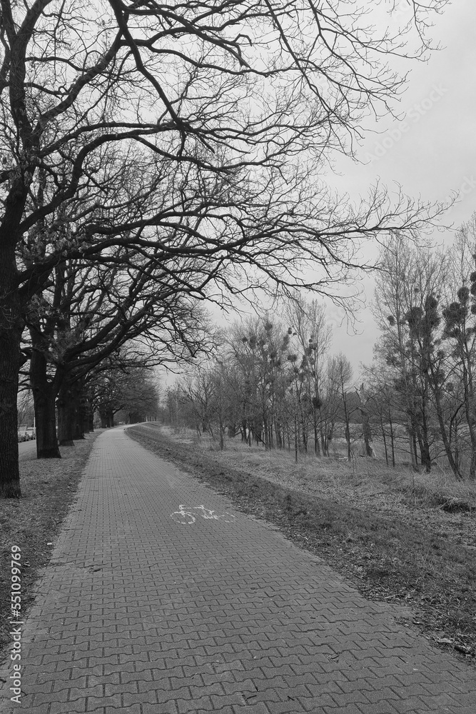 Black and white photo. View of the empty pedestrian path for walking.