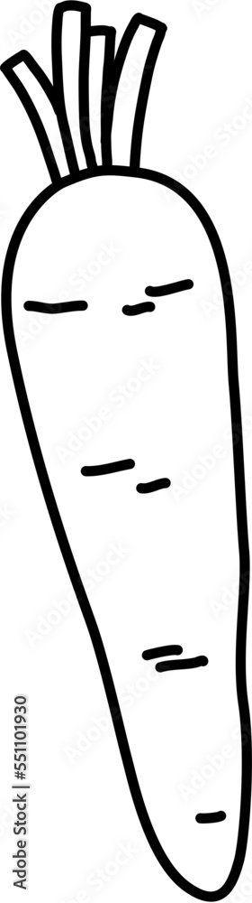 Obraz premium Carrot Outline