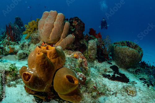 Fotografie woman scuba diving on Cozumel coral reef in Mexico