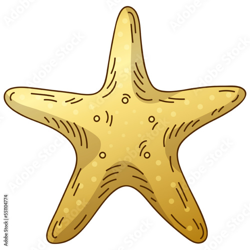 Sketch gold color luxury starfish isolated on white background.