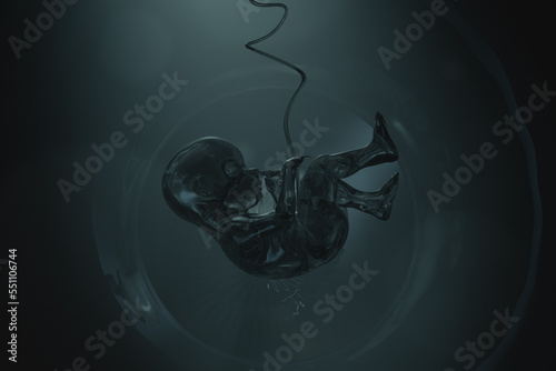 A maturing human embryo. Formation of a new life.