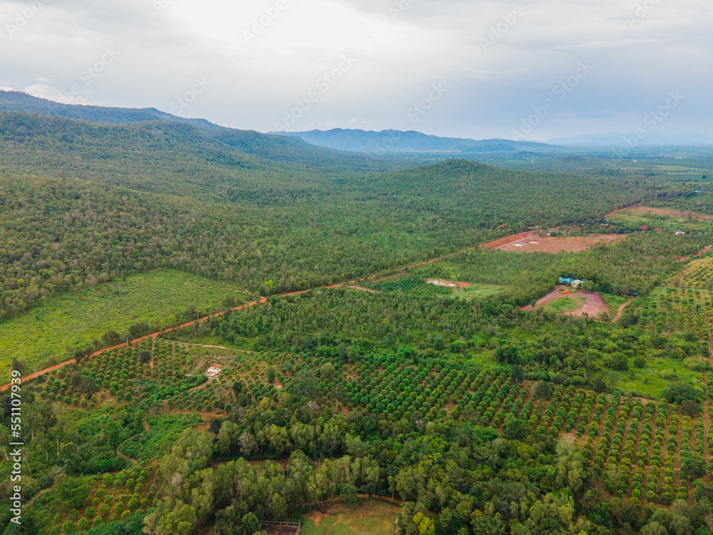 Aerial Top View In Cambodia