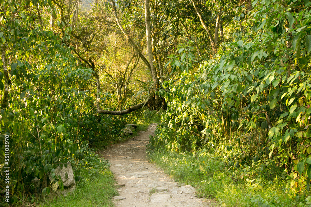 Fototapeta premium Hiking from Santa Teresa Hidroeléctrica to Aguas Calientes to reach Machupichu. Path following the train tracks with several hikers.