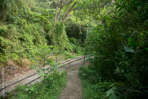 Hiking from Santa Teresa Hidroel  ctrica to Aguas Calientes to reach Machupichu. Path following the train tracks with several hikers.