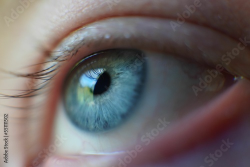 Photo Macro shot of a blue eye