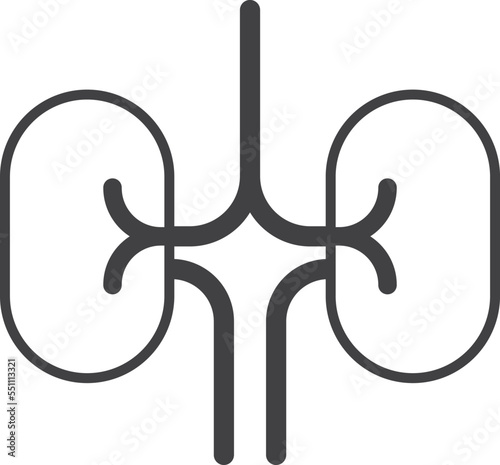 kidney illustration in minimal style