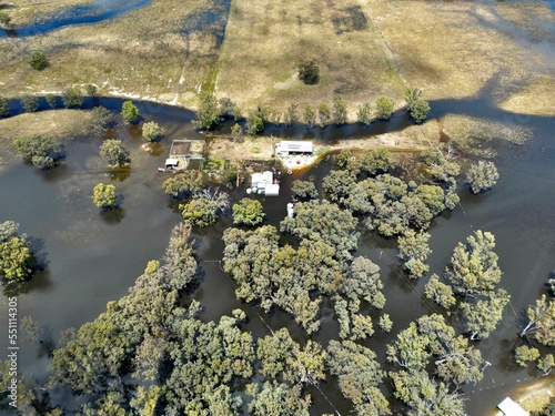 Aerial view of the flooded forest in Deniliquin town photo