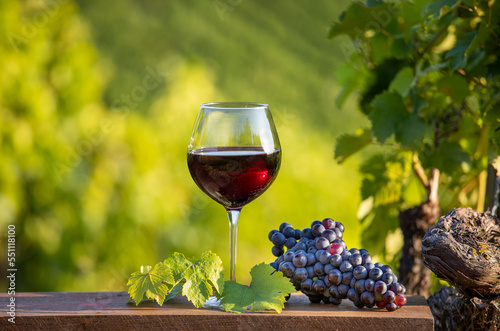 Verre de vin rouge dans les vignes avant les vendanges d'automne en France.