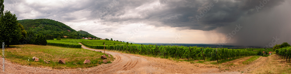Avancée de l'orage sur la plaine d'Alsace, vue depuis le vignoble, CEA, Alsace, Grand Est, France
