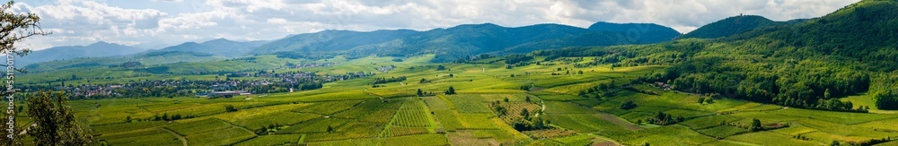Le vignoble d'Alsace au temps des vendanges, CEA, Alsace, Grand Est, France Le vignoble d'Alsace au temps des vendanges, CEA, Alsace, Grand Est, France