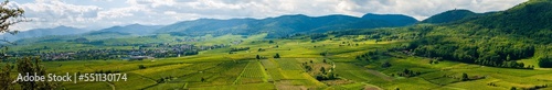 Le vignoble d'Alsace au temps des vendanges, CEA, Alsace, Grand Est, France