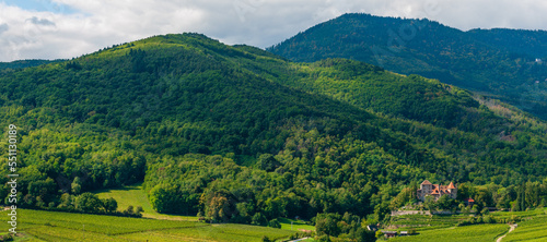 Domaine viticole du Reichenberg, Thannenkirch, Bergheim, Ribeauvillé, CEA, Alsace, Grand Est, France photo