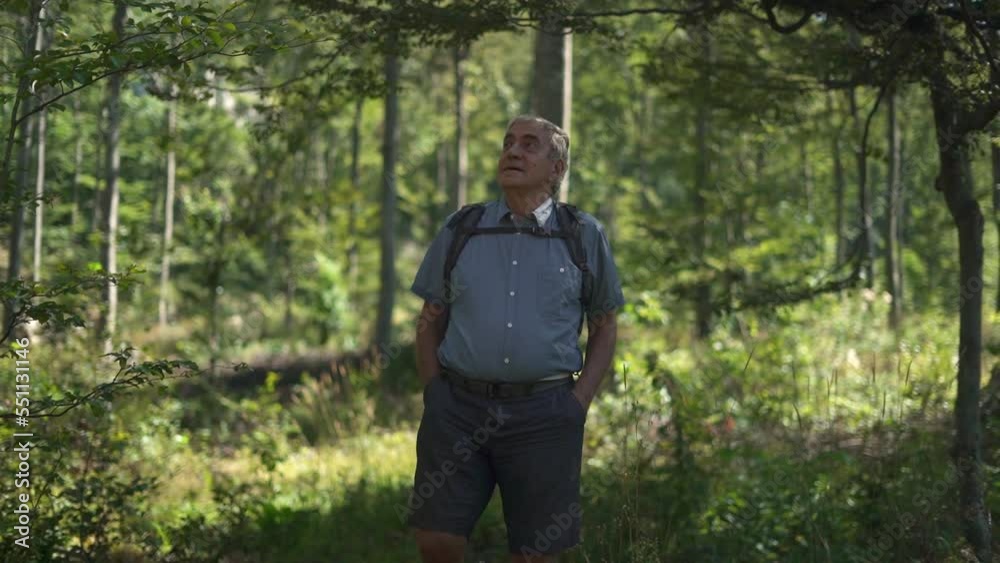 Senior man with backpack walking and exploring the forest on summer day. Active lifestyle. Senior man with backpack walking and exploring the forest on summer day. Active lifestyle.