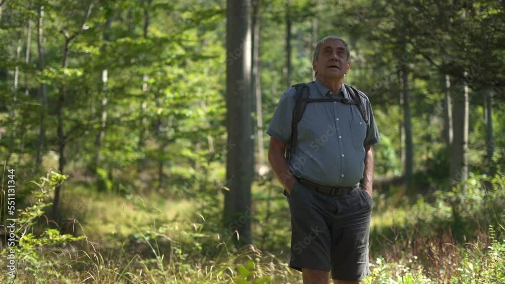 Senior man with backpack walking and exploring the forest on summer day. Active lifestyle. Senior man with backpack walking and exploring the forest on summer day. Active lifestyle.