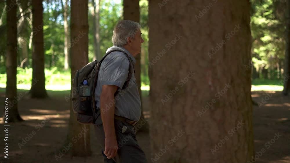 Senior man with backpack walking along rural road into the forest. Active lifestyle. Senior man with backpack walking along rural road into the forest. Active lifestyle.