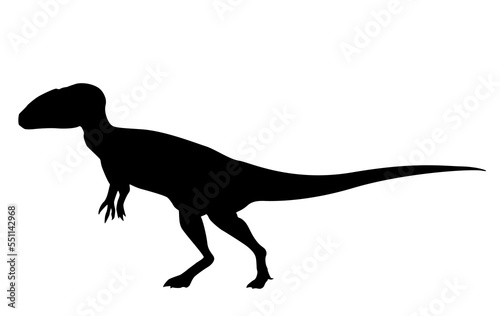silhouette of a dinosaur © Максим Оборин