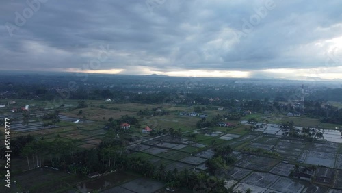 Rice fields in Bali