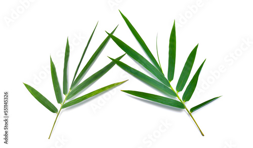 Bamboo leaves isolated on white background. Top view © PotaeRin