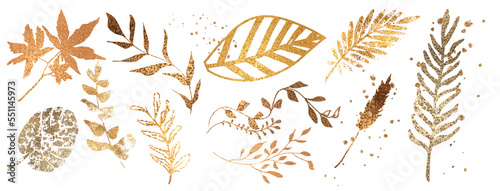 Big hand drawn colorful gold plant set - universally usable. Botanical, chic and trendy plants. Hand drawn lines, elegant leaves for your own design. Flower branch and minimalistic modern plants.