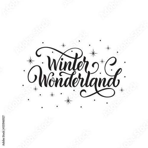 Winter wonderland handwritten text with stars and snowflakes. Hand lettering typography. Modern brush ink calligraphy. Vector illustration as greeting card, banner, poster, logo. Season's greeting