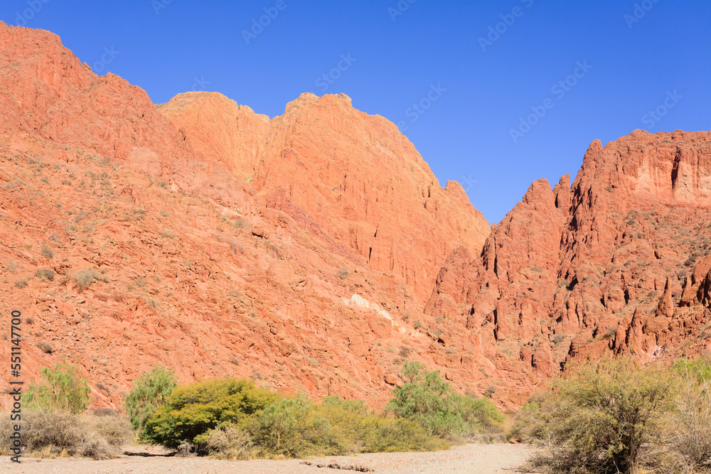 Fototapeta premium Bolivian canyon near Tupiza,Bolivia