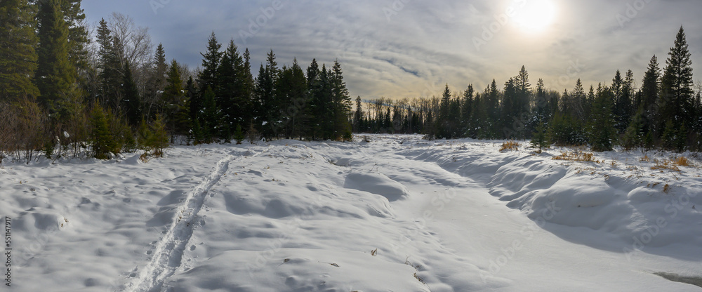 A panorama of a snowy forest setting and frozen stream with a trail of snowshoe tracks. The sky is filled with clouds that are backlit by the sun.

