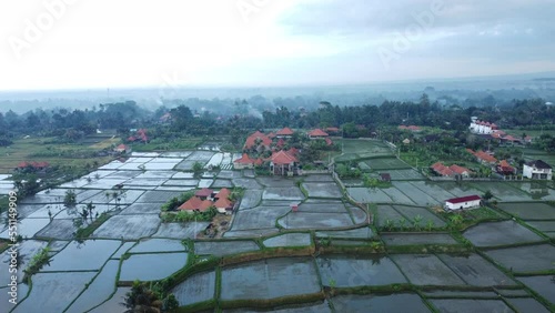 Rice fields in Bali
