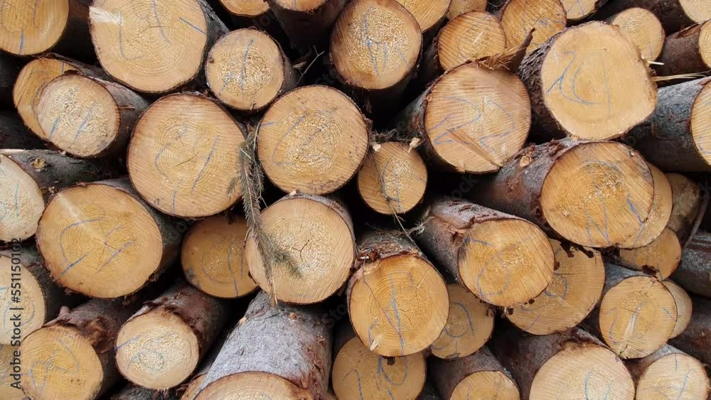 neatly stacked logs from freshly cut trees, felling and harvesting of wood, impact of deforestation and heavy industry on global ecological system neatly stacked logs from freshly cut trees, felling and harvesting of wood, impact of deforestation and heavy industry on global ecological system