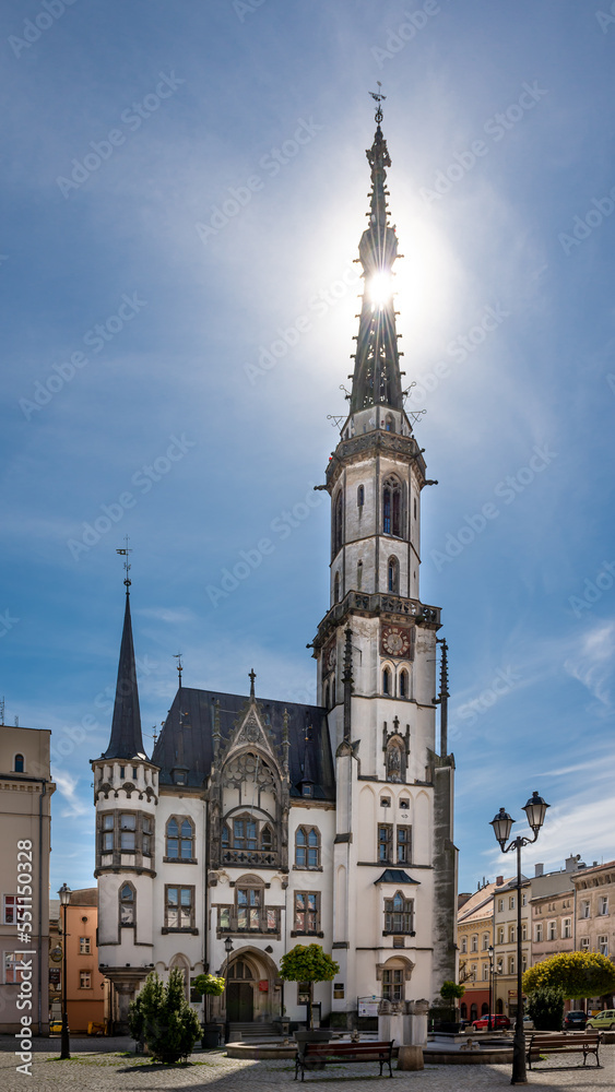 Obraz premium Town Hall in Zabkowice Slaskie a neo-gothic building erected in 1864, Poland