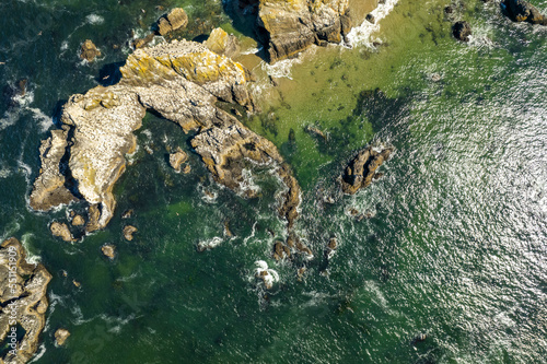 aerial view of the coast 