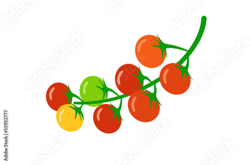 Flat design of fresh tomatoes on white background vector, fresh organic tomatoes vector on white background, ripe and raw tomatoes on white background vector, fresh organic vegetables on white vector.