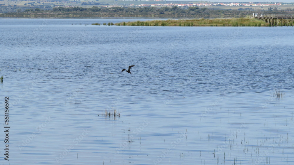 Represa no Alqueva, região do Alentejo em Portugal em um lindo dia ensolarado Represa no Alqueva, região do Alentejo em Portugal em um lindo dia ensolarado