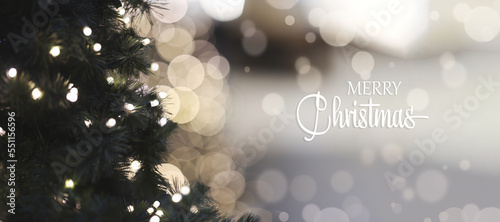 merry Christmas and new year holidays concept. winter snowy backdrop. festive winter season background. template for design. banner, copy