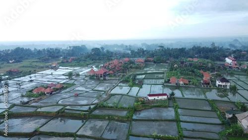 Rice fields in Bali