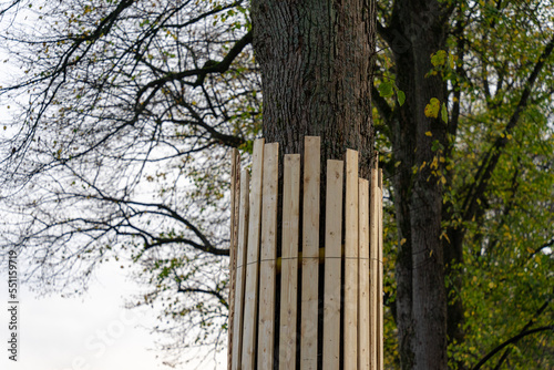 tree protection on a construction site with wooden boards