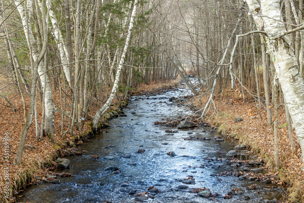 Fototapeta premium Blue river running through the middle through the forest in winter