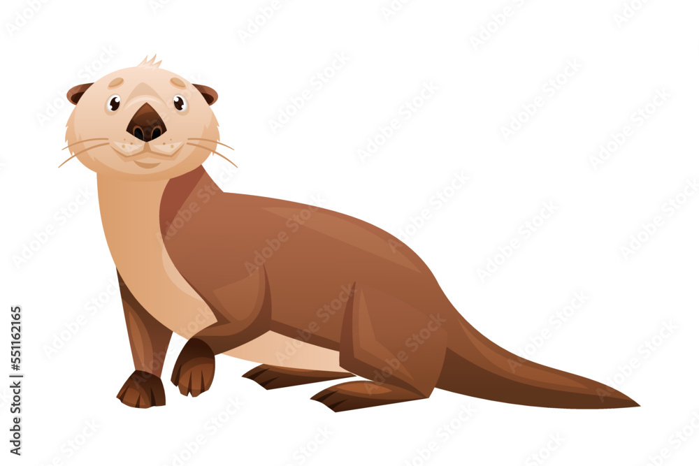 Obraz premium Sea Otter as Marine Mammal and Aquatic Creature with Brown Coat and Long Tail Vector Illustration