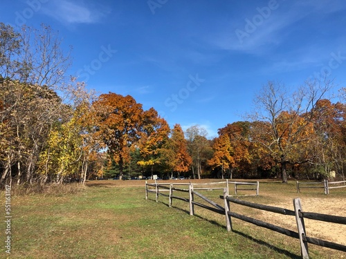 Autumn leaves and an old fence at Blydenburgh County Park in Smithtown, Long Island, New York.