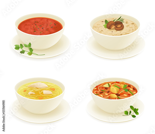 Different types of soup isolated on white background vector