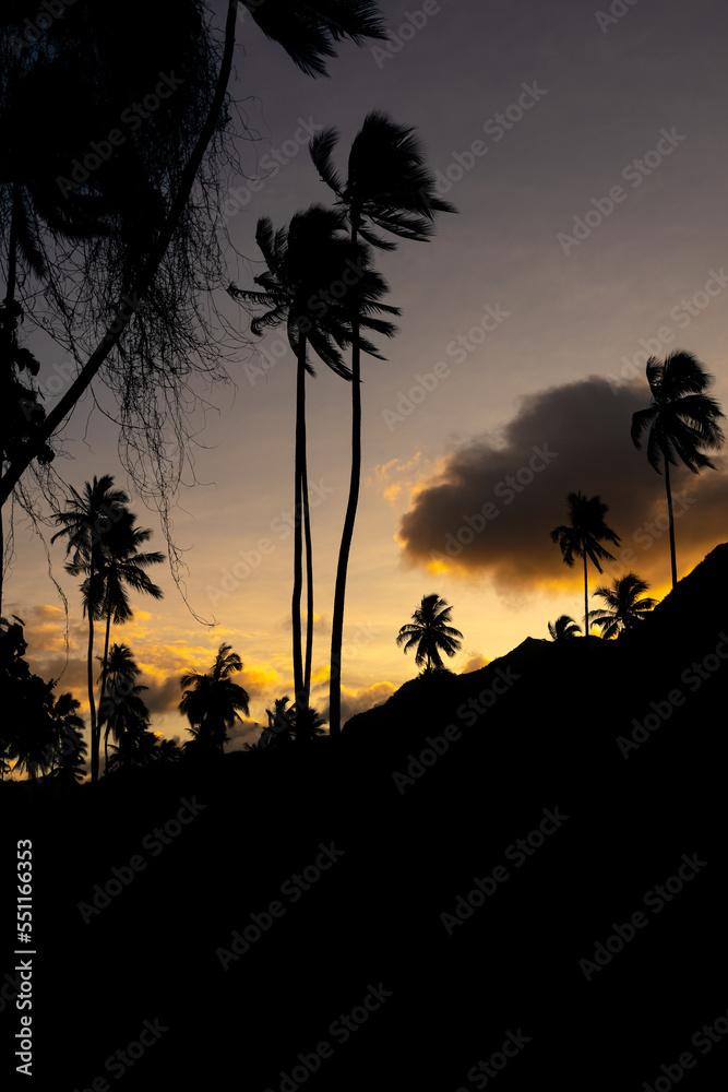 coucher de soleil jaune et cocotiers à Mo'orea coucher de soleil jaune et cocotiers à Mo'orea