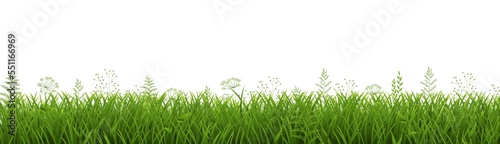Green Grass Border Isolated 